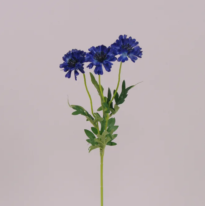 Цветок Василек Flora (72402)