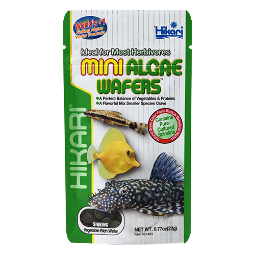 Корм Hikari Tropical Mini Algae Wafers для рослиноїдних риб довжиною +3 см диски 5 мм 22 г тонучий (21403)