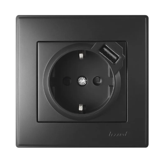 Розетка одинарная Lezard Lesya USB с заземлением Антрацитовый (26384212)