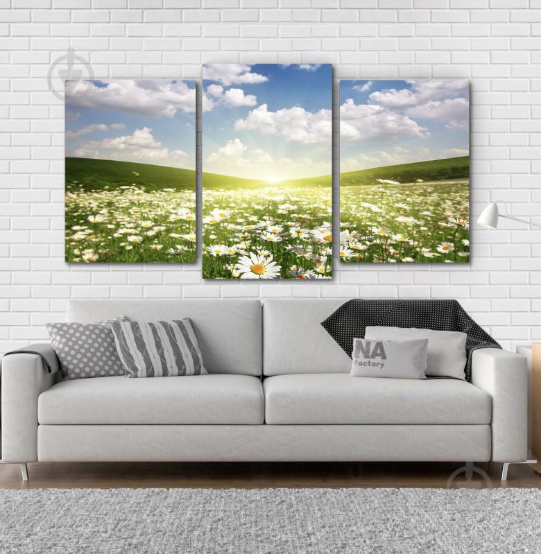 Модульна картина Poster-land Поле Ромашок Art-170_3