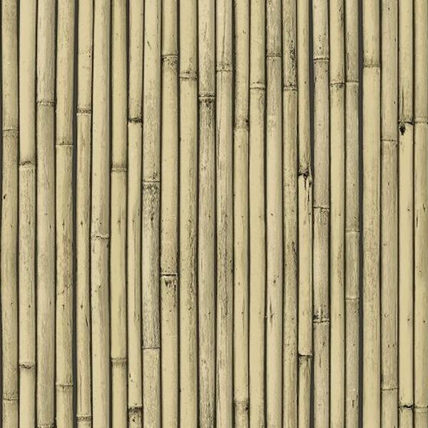 Шпалери на паперовій основі Шарм 177-01 Бамбук 0,53х10 м Світло-бежевий (660eb2821ac2fd5b6466de84) - фото 1 Шпалери на паперовій основі Шарм 177-01 Бамбук 0,53х10 м Світло-бежевий (660eb2821ac2fd5b6466de84) - фото 1