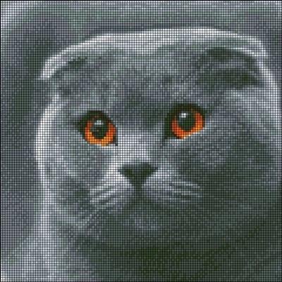 Набор алмазной мозаики Кошка британской породы 30х30 см (АМП-136)