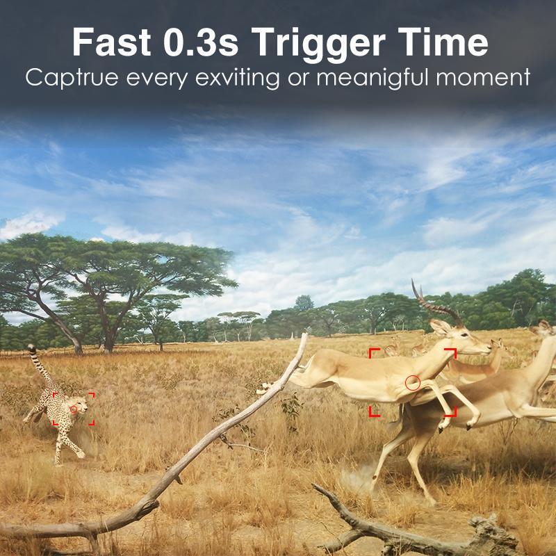 Камера фотоловушка Redleaf DTC10 60MP/4K с поддержкой WiFi (1480453287) - фото 4