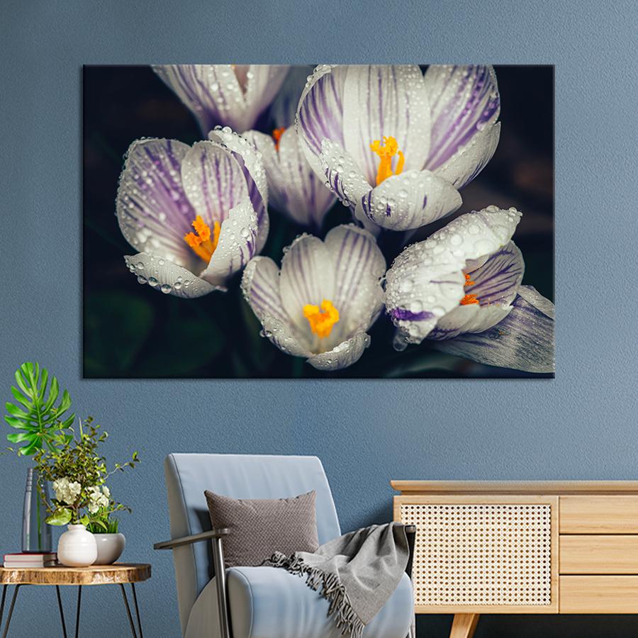 Картина цветы и растения Цветущий крокус 51x34 см (A984-1)