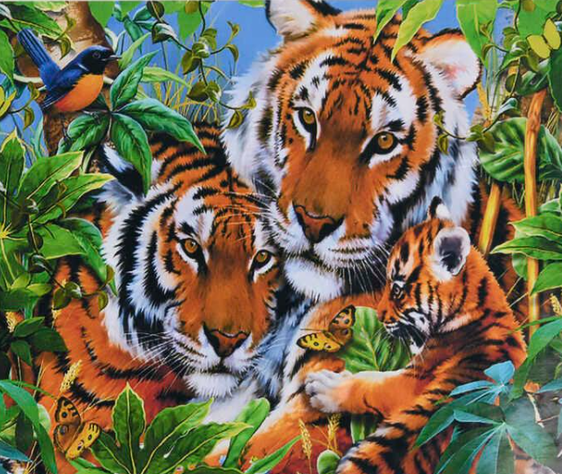 Картина по номерам TK Group 30933 30 Тигры 40х30 см (110318)
