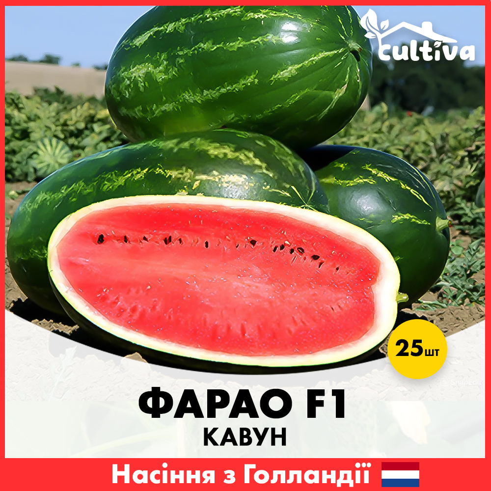 Семена арбуза Syngenta Фарао F1 25 шт. (WER112)