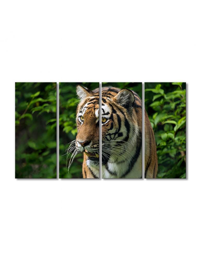 Картина модульная Ревущий тигр 4 модуля 60x90 см