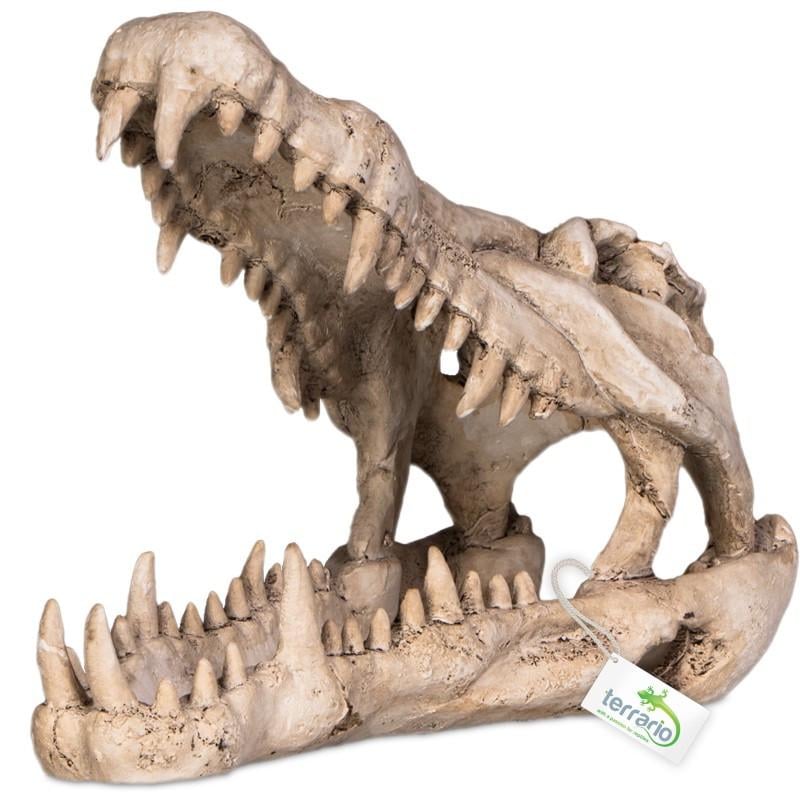 Декорація череп крокодила Terrario Crocodile Skull XL 23x11x16 см (TR251115)