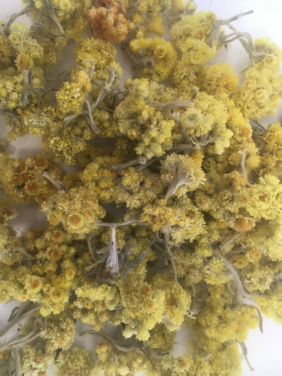 Бессмертник цветы Карпаты 50 г (617a77dba6d6aa6f4c196682)