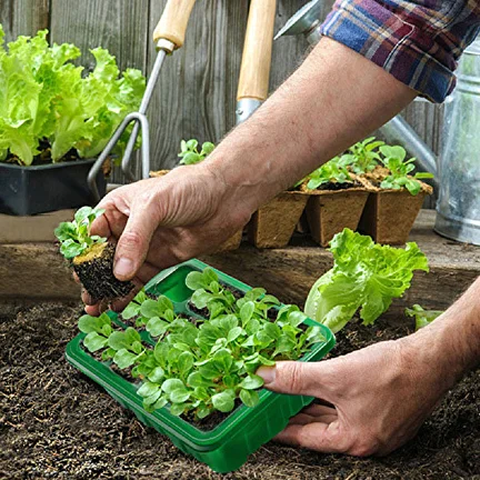 Парник для рассады на 12 ячеяк 5 шт. с системой подсветки и инструментами для пикировки саженцев (C00486) - фото 8