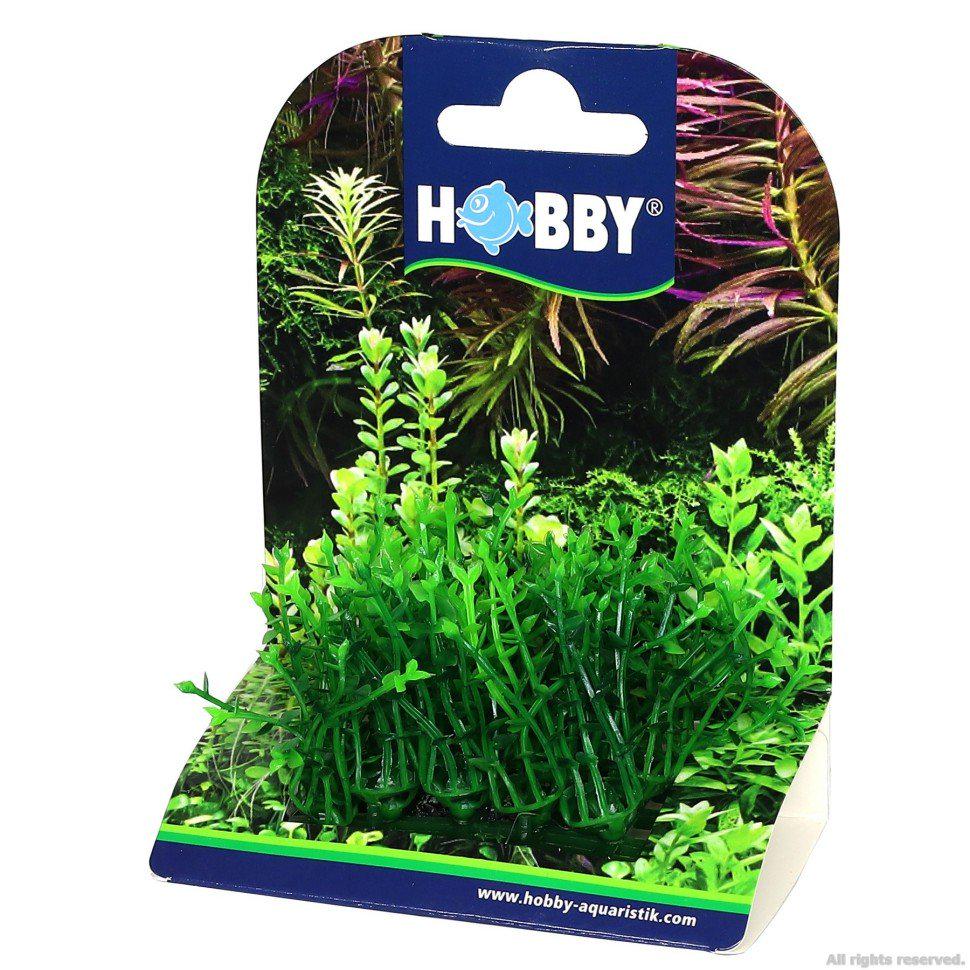 Искусственное растение для аквариума Hobby Plant Pad 1 7x4,5x5,5 см (51551) - фото 2