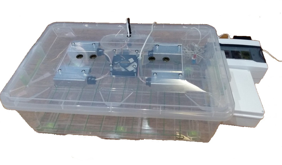 Инкубатор автоматический Курочка Ряба ИБ-56 (KR56BV)