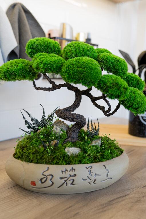 Бонсай стабілізований Самурай 31х32 см - фото 4