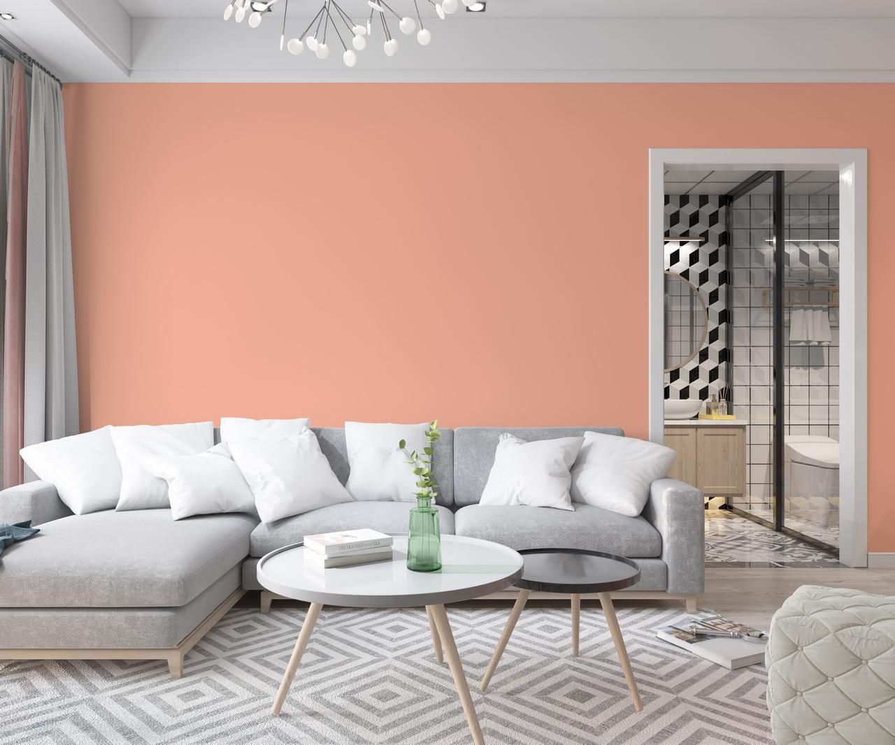 Краска интерьерная латексная Skyline 0530-Y70R 3 л Персиковый (686b9082e1a1ec59497f9ac0) - фото 3 Краска интерьерная латексная Skyline 0530-Y70R 3 л Персиковый (686b9082e1a1ec59497f9ac0) - фото 3