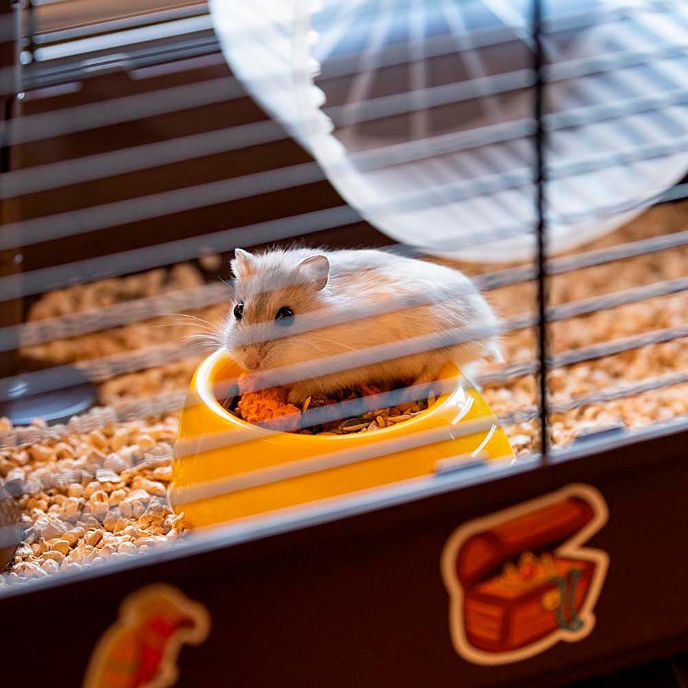 Клетка для хомяков с наклейками Пираты CRICETI 9 PIRATES 46x29,5xh 23 см (A-037362) - фото 4 Клетка для хомяков с наклейками Пираты CRICETI 9 PIRATES 46x29,5xh 23 см (A-037362) - фото 4