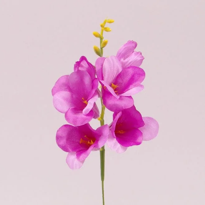 Цветок Фрезия Flora Розовый (72868)
