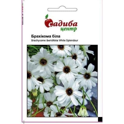 Семена цветов Брахикома белая Усадьба Центр 0,1 г (SZ-0701)