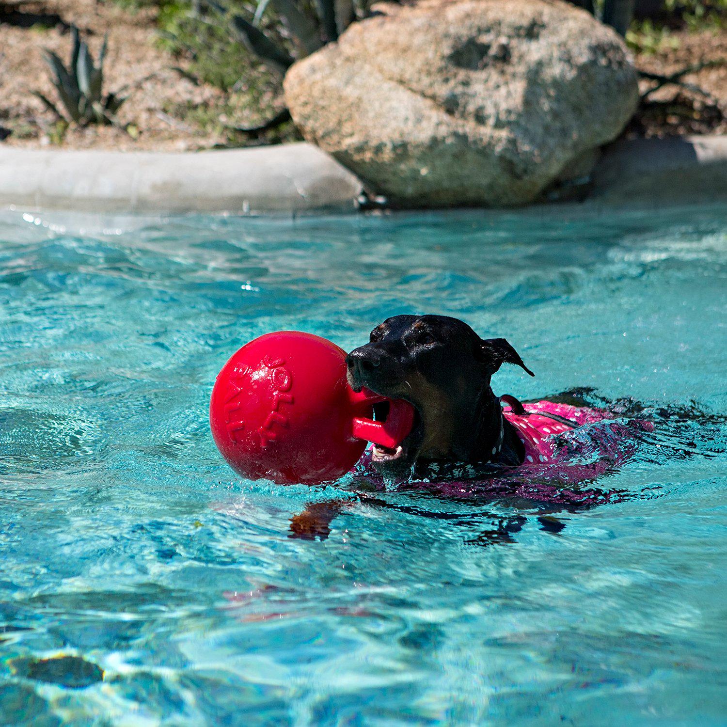 Іграшка для собак Jolly Pets TUG-N-TOSS гиря 20 см Червоний (408RD) - фото 2