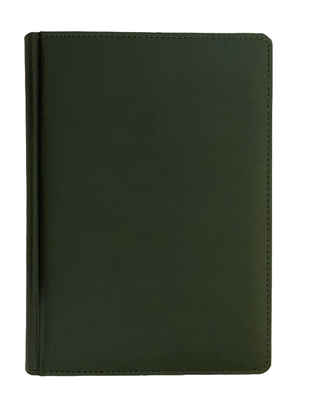 Дневник датированный Winner 3В-55 А5 2024 год 176 стр. Зеленый (011606зел)