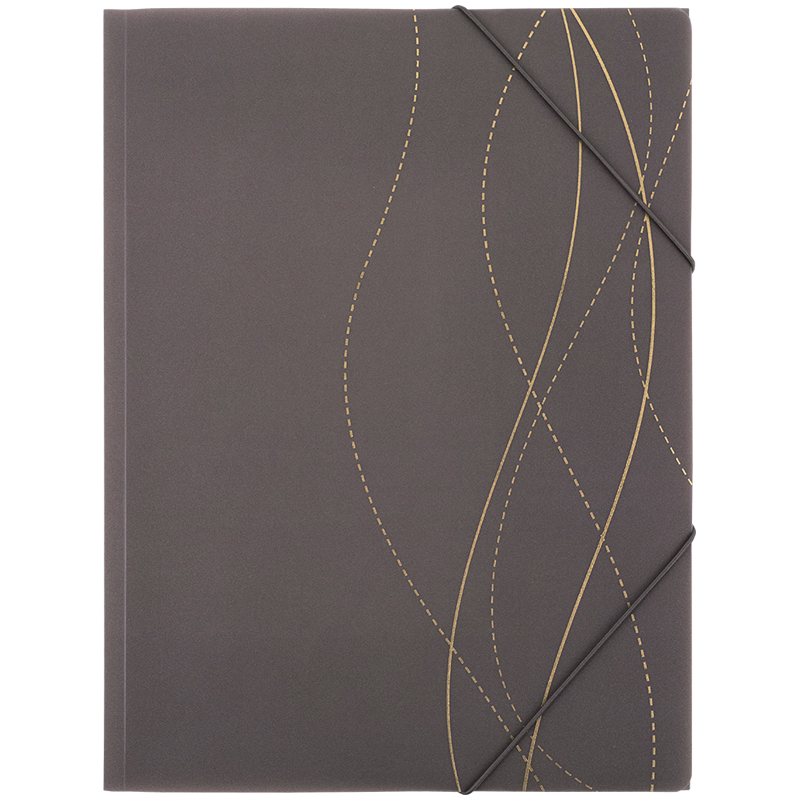 Папка на резинках А4+ Axent Waves-4 (1509-43-A)