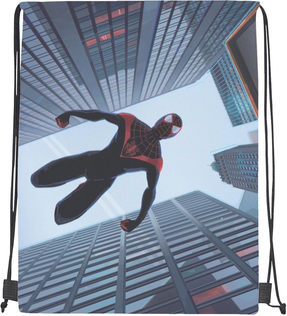 Мішок спортивний Spider Man 2 (20301595)