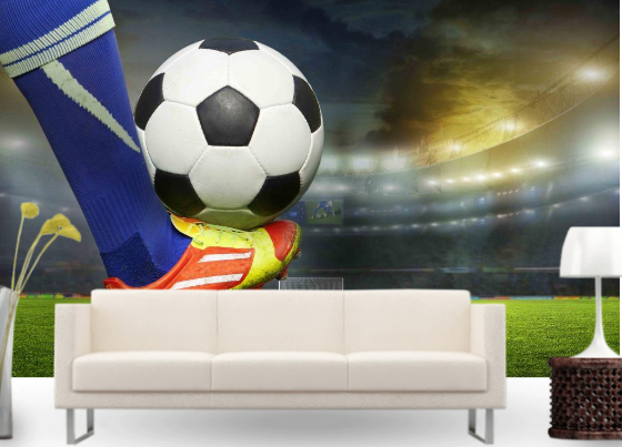 Фотообои флизелиновые для спальни/зала/кухни моющиеся Мяч на бутсе