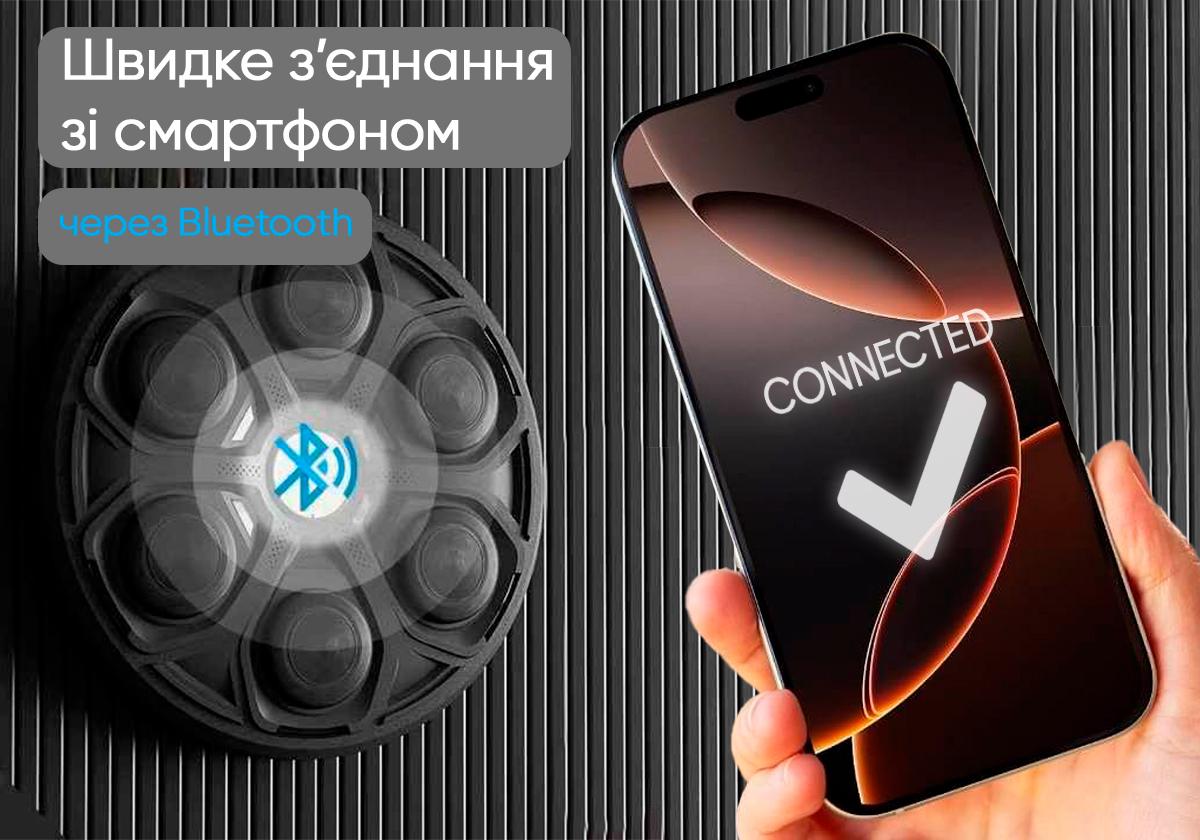 Боксерский тренажер настенный EasyFit музыкальная электронная мишень для бокса с перчатками (EF-0351) - фото 2 Боксерский тренажер настенный EasyFit музыкальная электронная мишень для бокса с перчатками (EF-0351) - фото 2