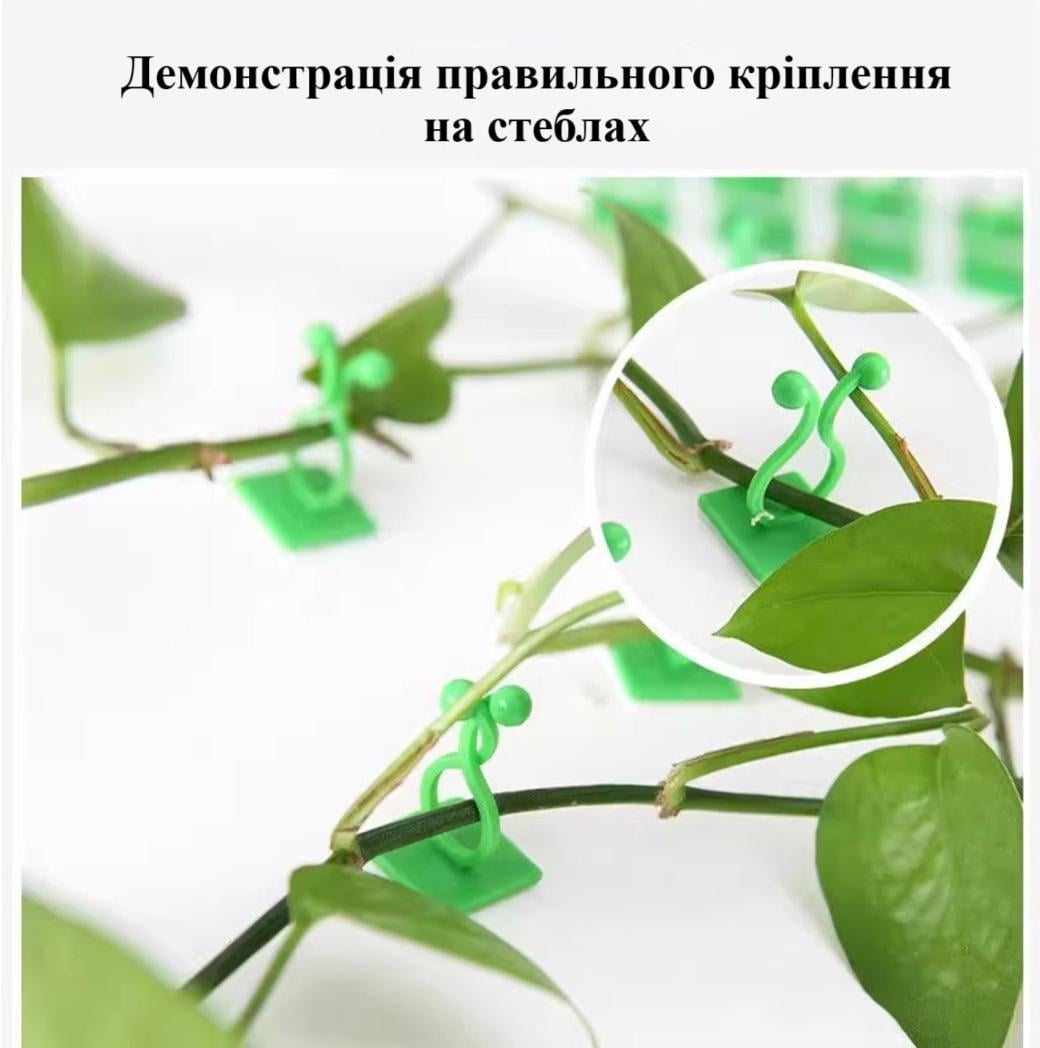 ᐉ Клипсы-держатели для комнатных растений лиан проводов и