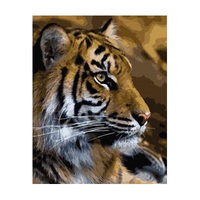 Набор для росписи по номерам Strateg Тигр 40х50 см (VA-0248-mt)