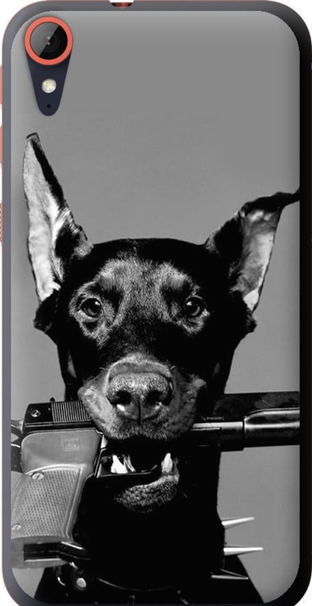 Чохол на HTC Desire 830 Доберман (2745u-785-42517)