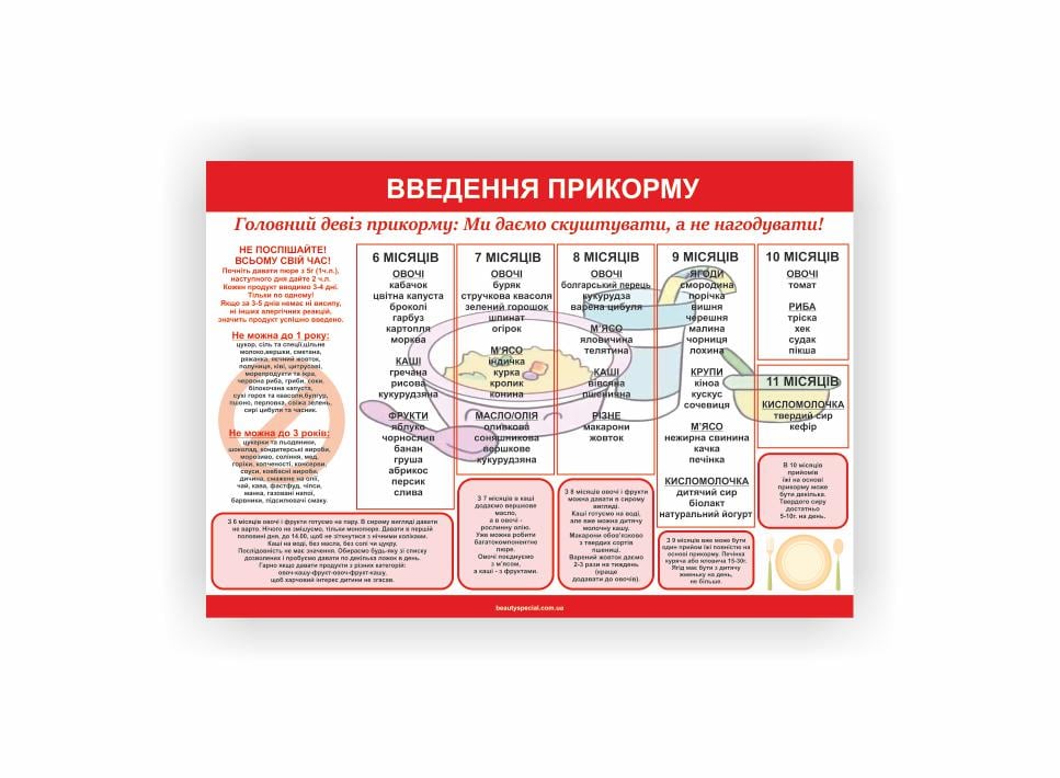Плакат Vivay "Введение прикорма" 30х40 см (25790557)