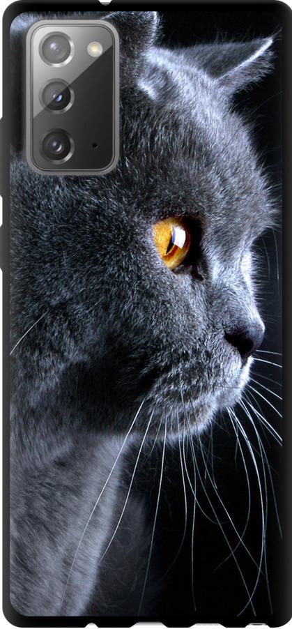 Чехол на Samsung Galaxy Note 20 Красивый кот (3038b-2036-42517) Чехол на Samsung Galaxy Note 20 Красивый кот (3038b-2036-42517)
