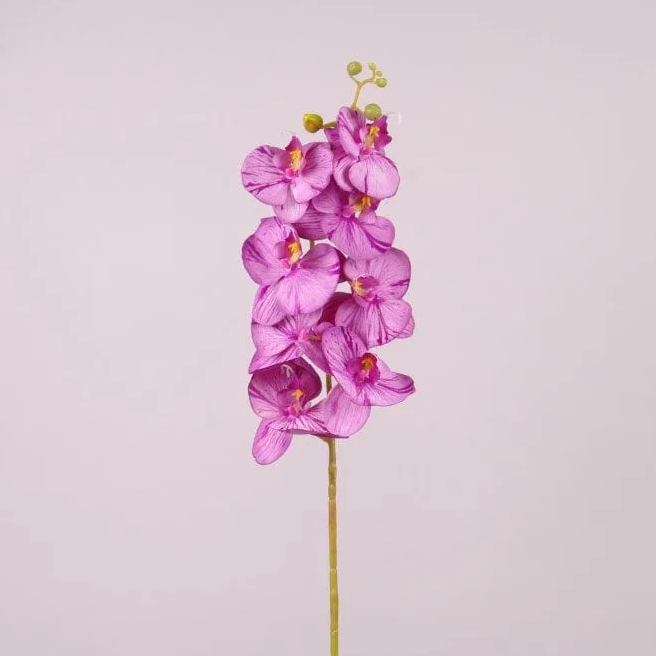 Цветок Фаленопсис Flora Фиолетовый (72908)