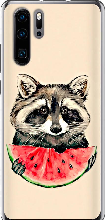 Чехол на Huawei P30 Pro Енотик с арбузом (4605t-1621-42517)