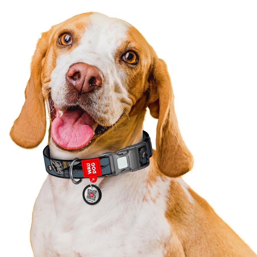 Ошейник для собак с QR-паспортом Waudog Nylon Тень Бэтмена пластиковый фастекс M 20 мм 28-40 см Grey (281-1078) - фото 6 Ошейник для собак с QR-паспортом Waudog Nylon Тень Бэтмена пластиковый фастекс M 20 мм 28-40 см Grey (281-1078) - фото 6