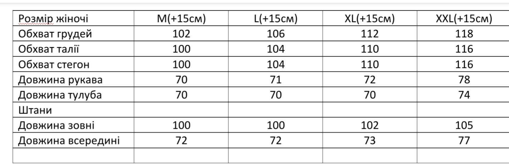 Костюм женский велюровый домашний термо L Голубой - фото 3