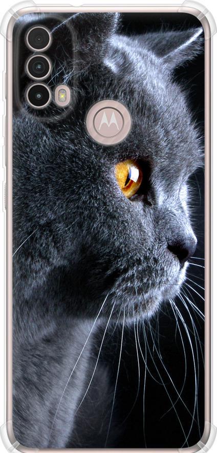 Чехол на Motorola E40 Красивый кот (3038sp-2660-42517)