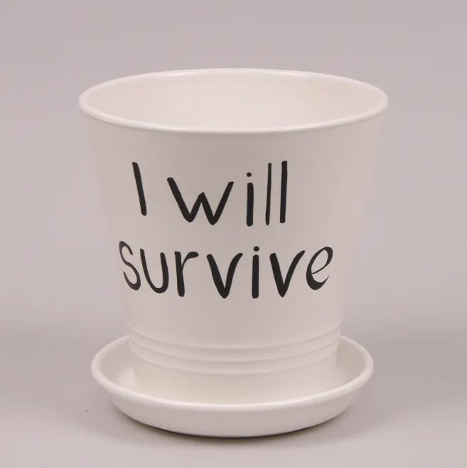 Горшок керамический Flora Модерн "I will survive" глянец 1 л Белый (7905)