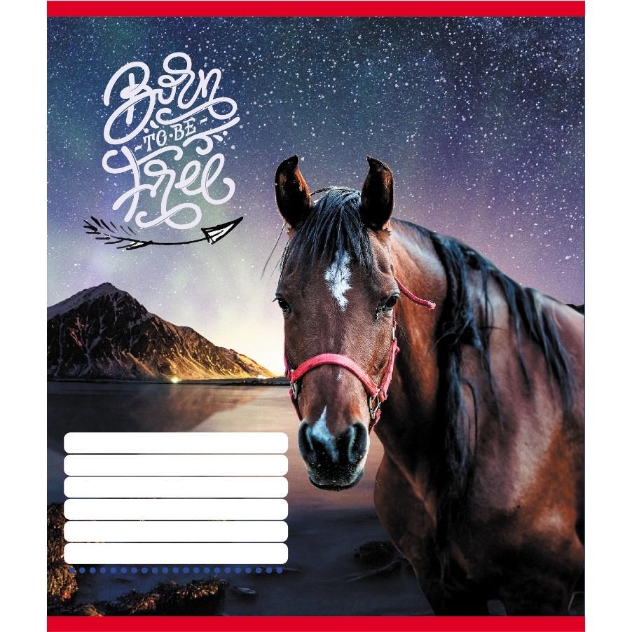 Зошит учнівський Leader Тварини 018-530247K-1 в клітинку 18 арк. (RLT55217)