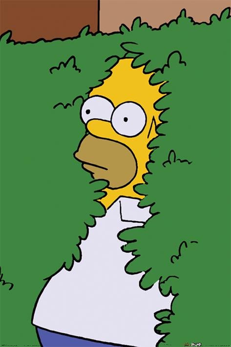 Постер плакат Симпсоны Гомер В Кустах/The Simpsons Homer Bush 61x91,5 см