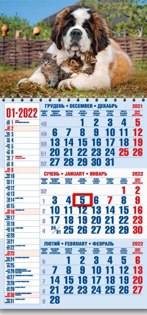 Календарь настенный квартальный МАРКО на 2022 год офисный 1 Щенята (офіс1-17 2022)
