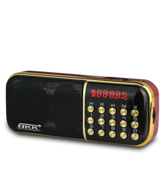 Радиоприемник BKK B851 на аккумуляторе (28158063)
