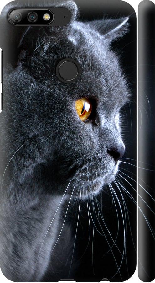Чехол на Huawei Honor 7C Pro Красивый кот (3038m-2070-42517)