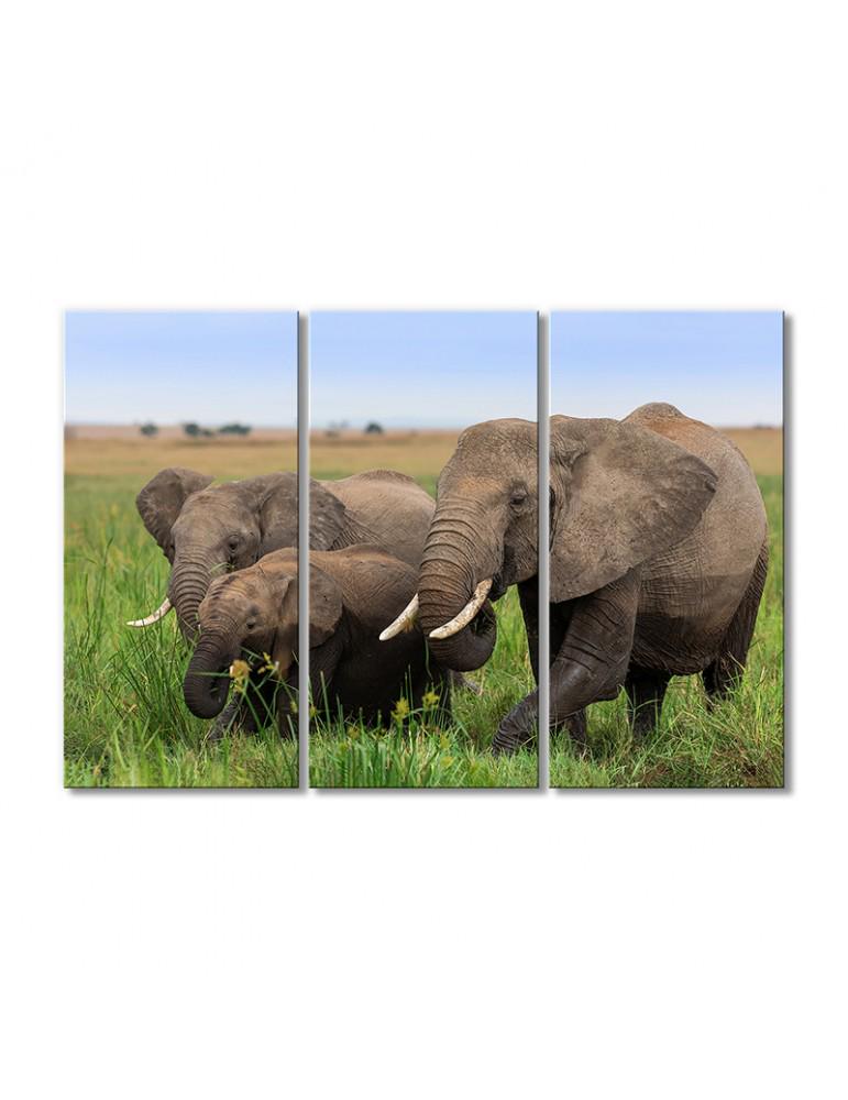 Картина модульная Папа мама и я - семья слонов 3 модуля 80x120 см