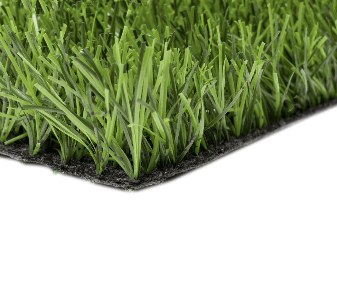 SportGrass