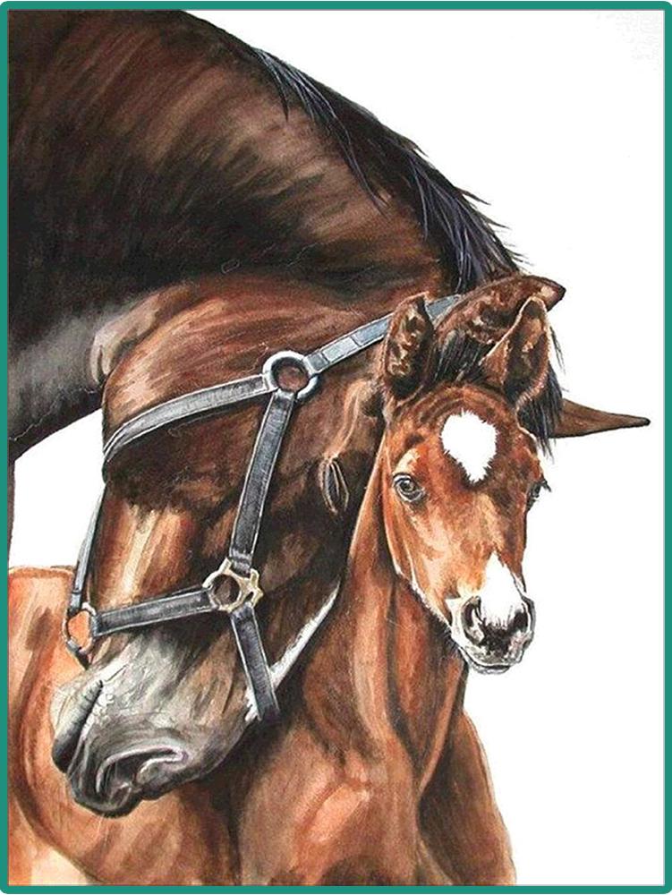 Алмазная Мозаика Emerald Craft Лошади 30x40 см (23260)
