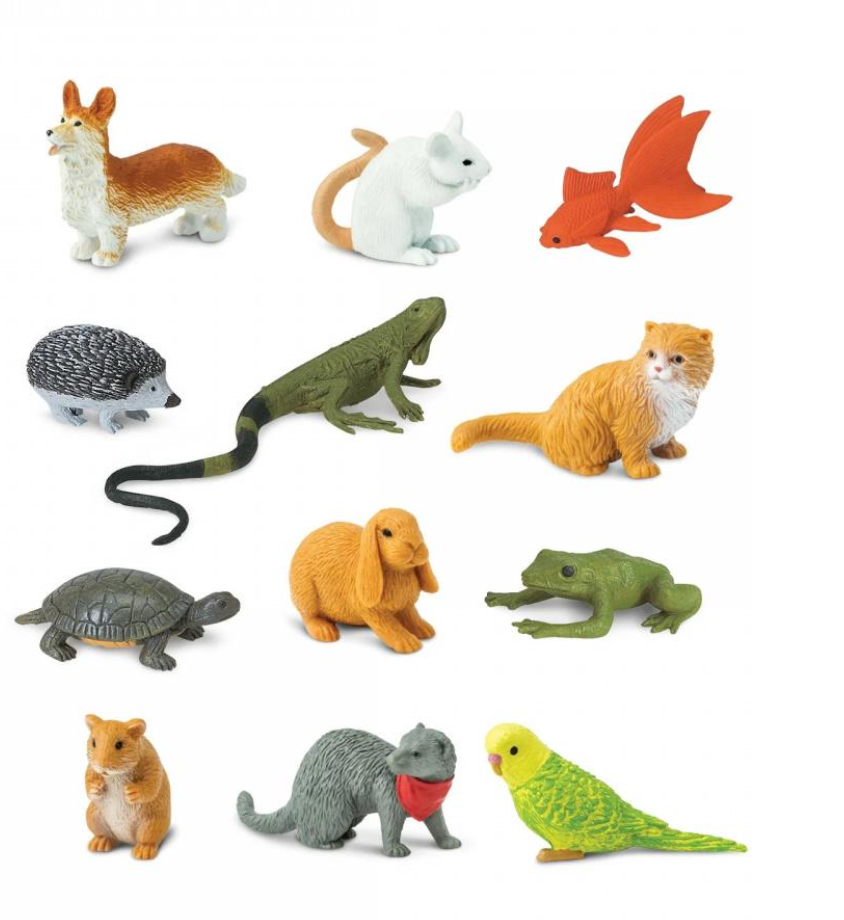 Набір фігурок Safari Ltd Домашні тварини в тубусі (23321907)