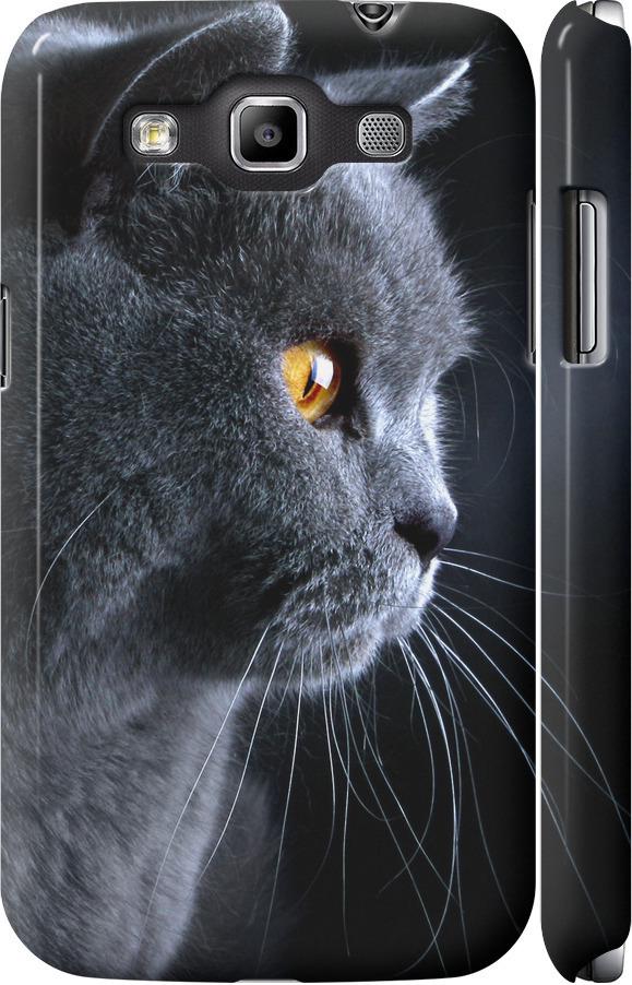 Чехол на Samsung Galaxy Win i8552 Красивый кот (3038c-51-42517)