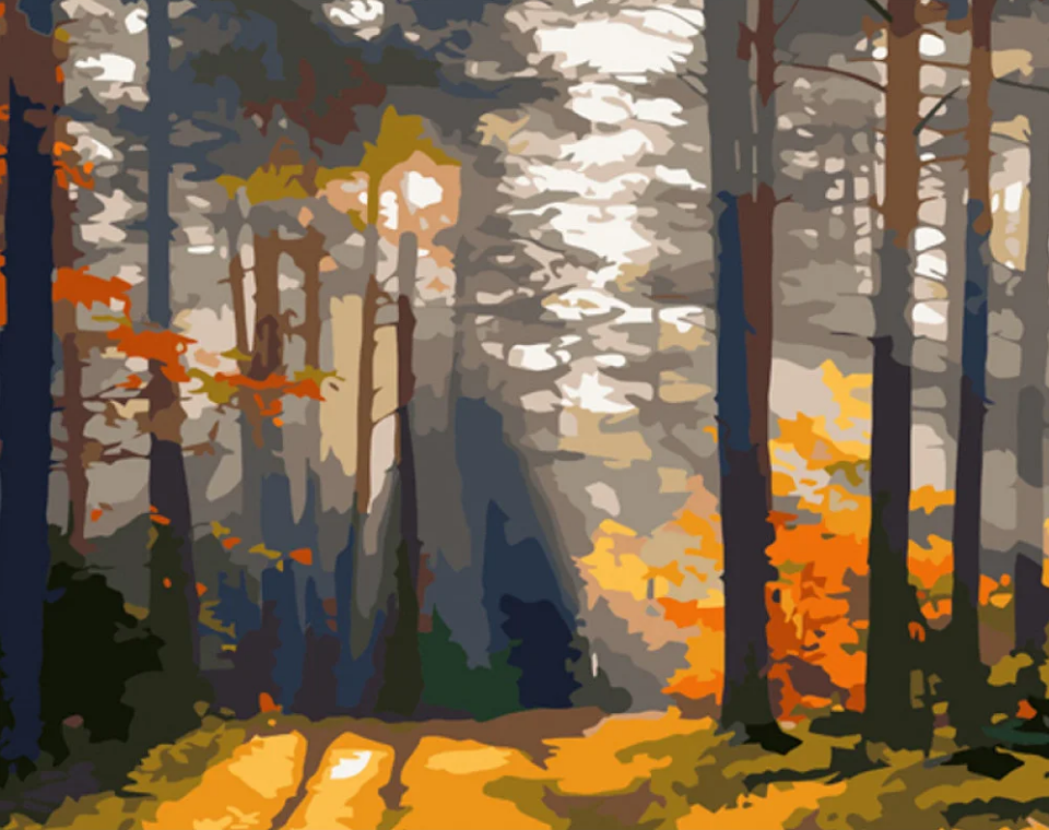 Картина по номерам Strateg Лес на рассвете 40x50 см (GS989)