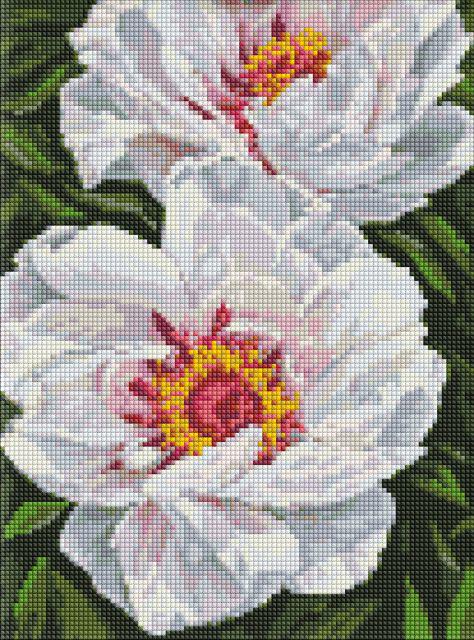 Алмазная мозаика на подрамнике Идейка Белые пионы 30x40 см (AMO7753)